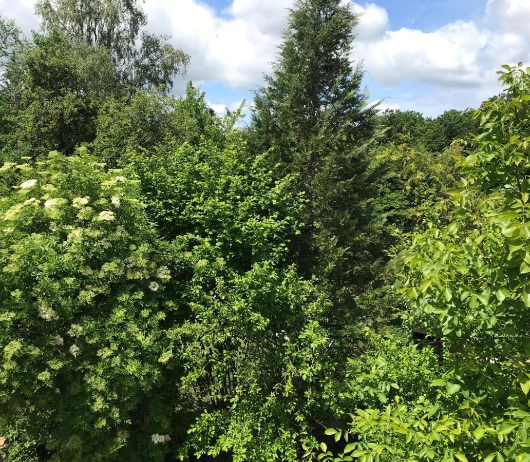 Vakantie Appartement In Luxemburg Berbourg Екстериор снимка
